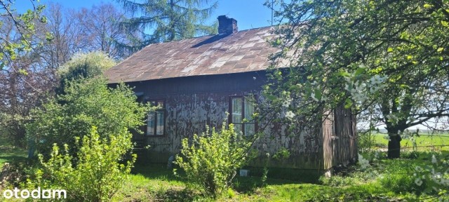 Urokliwe siedlisko | Ziemia Rolna 5,76 ha | Dostępne od ręki !