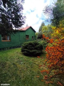 Dom, 75 m², Smolice