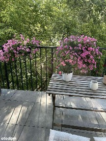 Jasne mieszkanie, 2 oddzielne pokoje, Służewiec, duży balkon, zieleń.