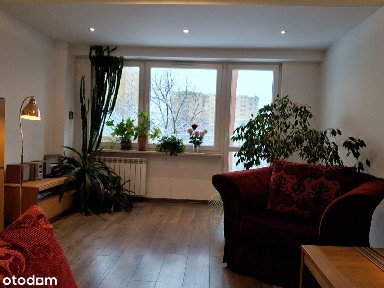 ul. Tadeusza Kotarbińskiego, Gołębiów I, Radom, mazowieckie