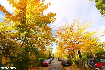 Negocjacja Ceny Klimatyczne Rozkładowe Plus Strych Plus Garderoba TOP