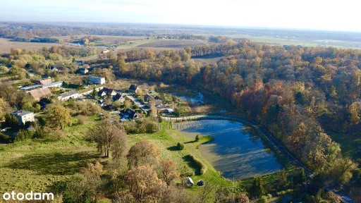 Wisznia Mała, trzebnicki, dolnośląskie
