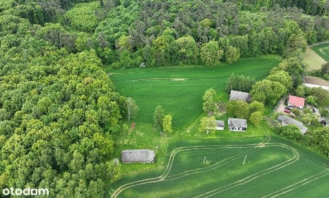 Siedlisko na polanie, pod stadninę lub agroturystykę, 30 min od KRK