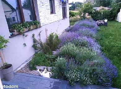 Dom wolnostojący/ 3 pok/działka/ garaż/Marszewo/