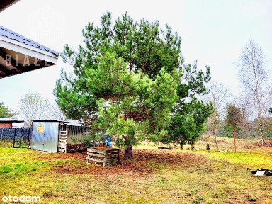 Dom na wsi w cichej i spokojnej okolicy