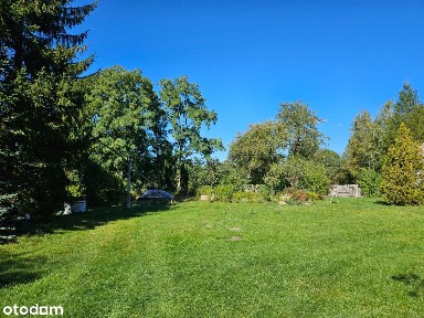 Urokliwa nieruchomość w gminie Radziejowice