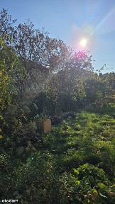 Apartament z magicznym ogrodem 90 m², prywatna oaza z winoroślami !