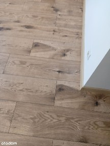 Kawalerka bezpośrednio