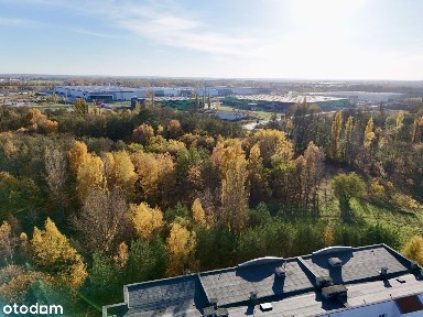 ul. Bolka Świdnickiego, Olechów, Widzew, Łódź, łódzkie