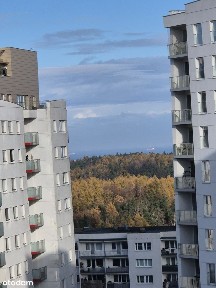 ul. Franciszka Rakoczego, Piecki-Migowo, Gdańsk, pomorskie