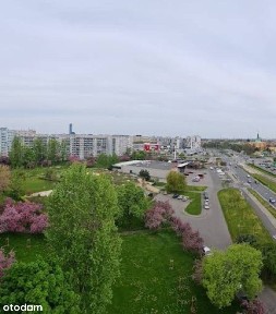 okolice ul. Orzechowej