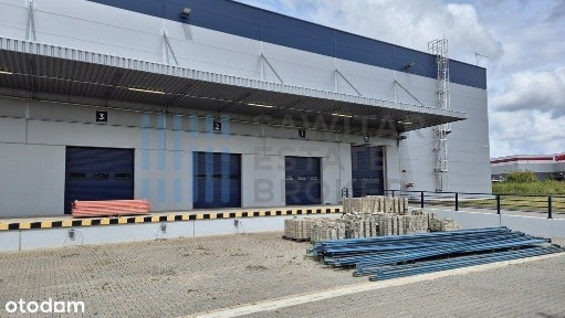 Magazyn 11 doków, 4 bramy na busa i brama 
