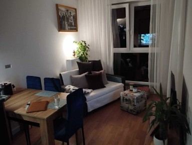 Eleganckie mieszkanie do wynajęcia 2 pokoje Marywilska