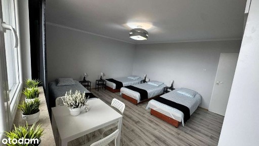 mieszkanie na wynajem /od zaraz/ Chrzanów