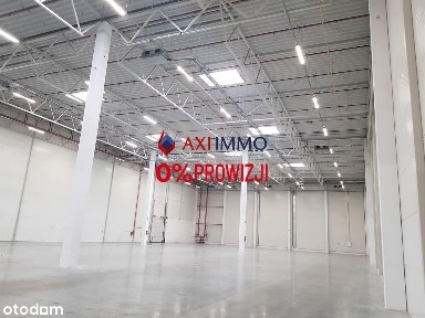 Zarzew, Widzew, Łódź, łódzkie