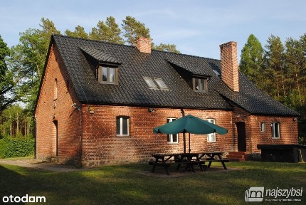 Dom z duszą w lesie na polanie.