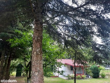 Działka, jezioro Rotcze, domek letniskowy.