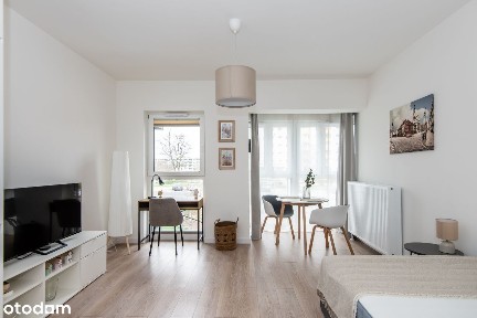 ul. Zygmunta Wojciechowskiego, Piątkowo, Stare Miasto, Poznań, wielkopolskie