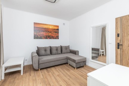 Przestronna duża kawalerka w sercu nowej Pragi