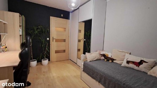 ul. Kielecka, Zagórze Południe, Sosnowiec, śląskie