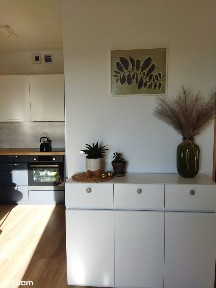 PRZYTULNE, 2 POKOJOWE, OSIEDLE ROYAL WIELISZEW - BEZ POŚREDNIKÓW