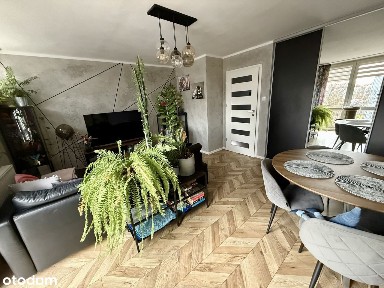 Mieszkanie, 2 pokoje, 45,19 m2, centrum ul. Krucza, bezpośrednio