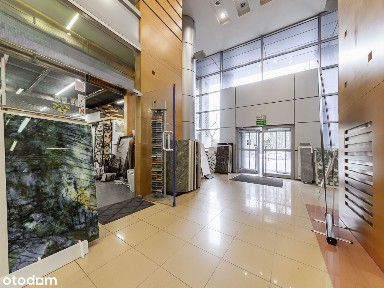 ul. Zwycięzców, Saska Kępa, Praga-Południe, Warszawa, mazowieckie