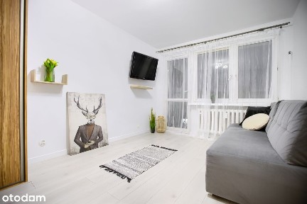 2-pokojowe, ciepłe, z balkonem, wyposażone. Zwierzęta akceptowane.