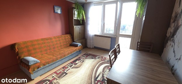 Najem bezpośrednio - bez prowizji