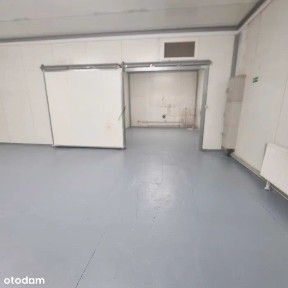 Al. Piłsudskiego Józefa, Ząbki, wołomiński, mazowieckie