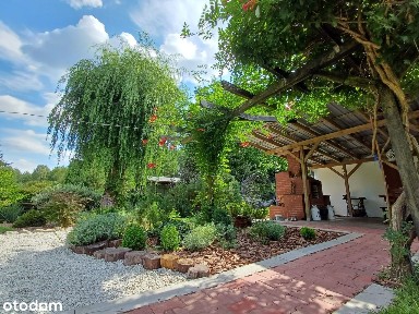 Okazja-Dwa Domki-Linia Brzegowa Jeziora-Puszcza Notecka -WZ rozbudowa