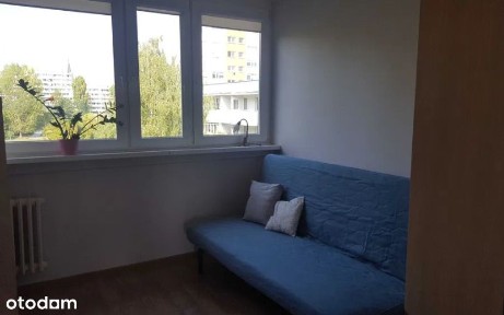 Okolice Magnolii/3 pokoje/balkon/piwnica