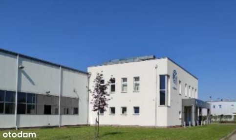 Budynki magazynowe na sprzedaż, Kutno
