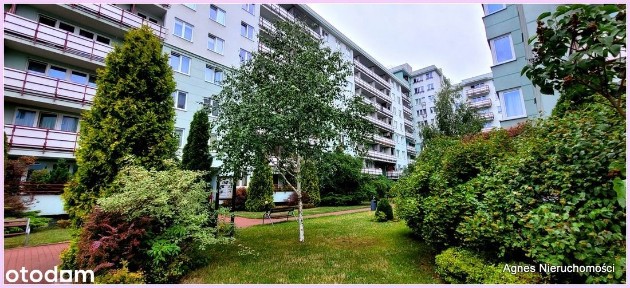 Sielce, Mokotów, Warszawa, mazowieckie