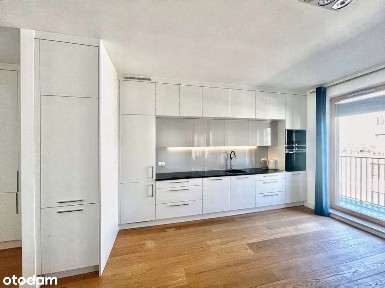 Błonia Wilanowskie, Wilanów, Warszawa, mazowieckie