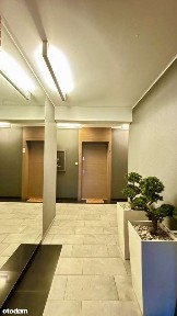 ul. Okrężna, Lisie Wzgórze, Górny Sopot, Sopot, pomorskie