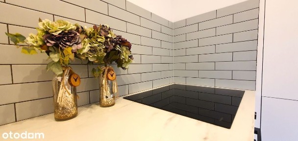 ul. Dolna, Ligota Zabrska, Gliwice, śląskie