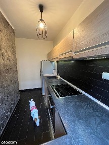 Atrakcyjne mieszkanie oś 700 lecia