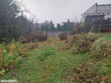 Aleksandrów kuj- sprzedam Kamienice w centrum miasta