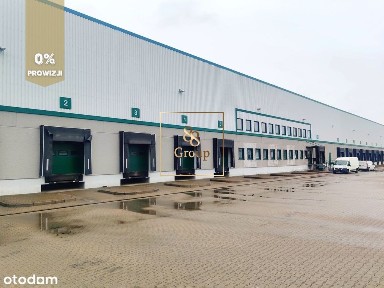 Pelcowizna, Praga-Północ, Warszawa, mazowieckie