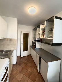 Zwierzęta mile widziane