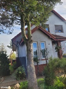 Syndyk sprzeda udział w wysokości 1/2 w domu jednorodzinnym