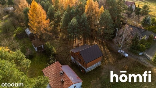 Dom w otoczeniu drzew