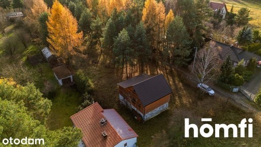 Dom w otoczeniu drzew
