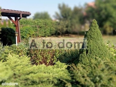 Parterowy Wolnostojący