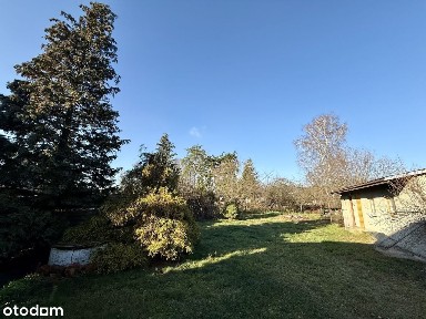 Dąbrówka - Dom do remontu na dużej działce 1200 m²