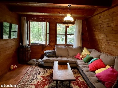 Wyjątkowy drewniany dom na przepięknej działce z własnym lasem