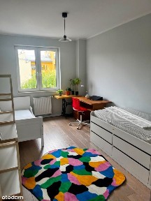 ul. Stefana Okrzei, Stara Praga, Praga-Północ, Warszawa, mazowieckie