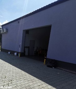 Prądocin, Deszczno, gorzowski, lubuskie