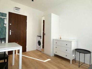 Wynajmę kawalerkę przyjazną dla zwierząt, Nasyp 2, BRAK PROWIZJI